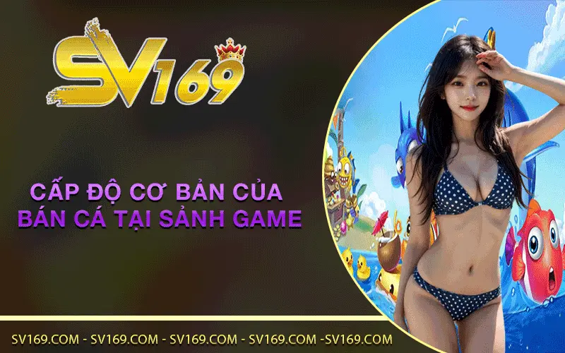 Cấp độ cơ bản của bán cá tại sảnh game