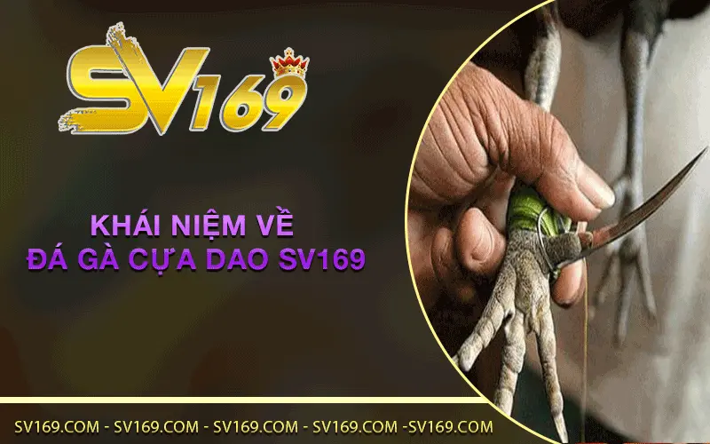 Khái niệm về Đá Gà Cựa Dao SV169