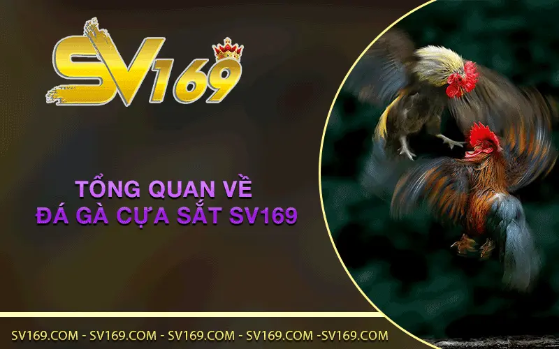 Tổng quan về Đá Gà Cựa Sắt SV169