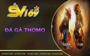 da-ga-thomo-sv169