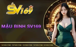 mau-binh-sv169