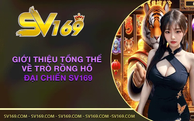 Giới thiệu tổng thể về trò Rồng Hổ đại chiến SV169